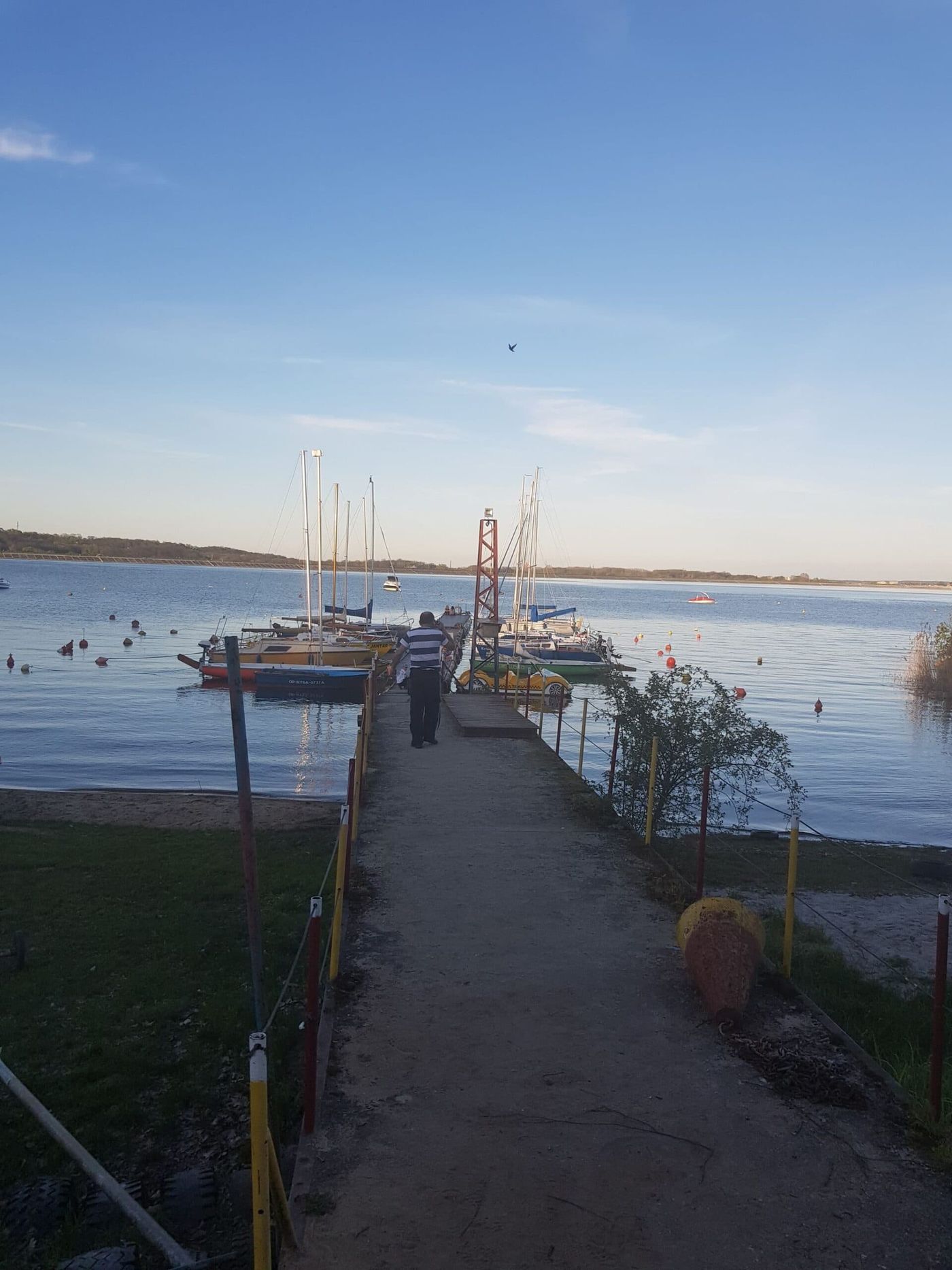 Pomost z zacumowanymi żaglówkami na Jeziorze Nyskim