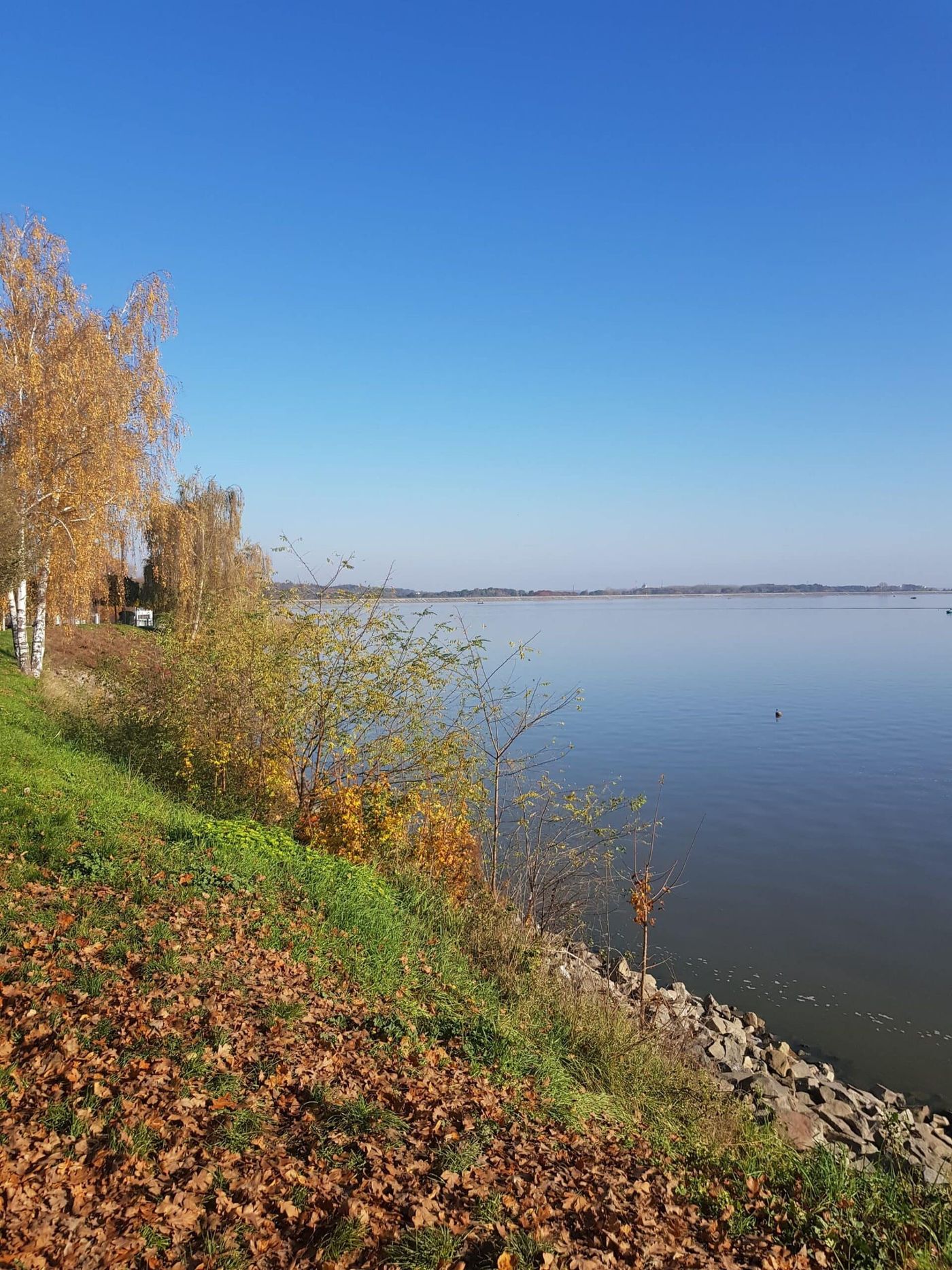 Jesienny brzeg Jeziora Nyskiego ze ścieżką wśród drzew